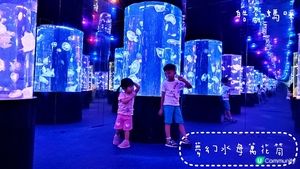 荃灣海洋保育體驗推介，齊齊學習水母知識同放電啦！