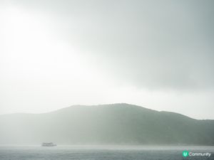 東平洲一日遊！🌊 碼頭出發！😎