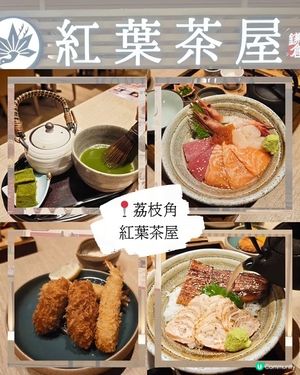 荔枝角紅葉茶屋⛩️CP值爆登😋✨