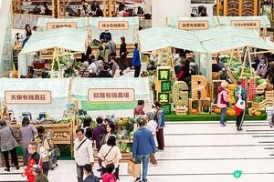 【綠色生活】全城有機日3月8日舉行 遮打道將化身大型有機市集