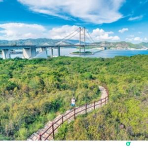 馬年馬灣行大運路綫連串賀歲活動新春市集登場