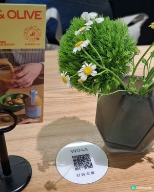 假日好去處!歡迎關注我嘅戶口､訂閱我嘅YouTube頻道, 