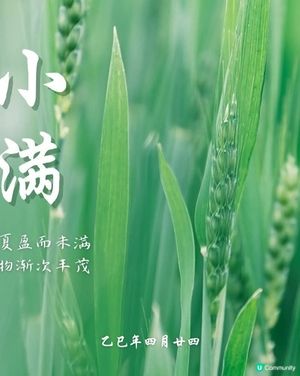 二十四節氣-小滿注意