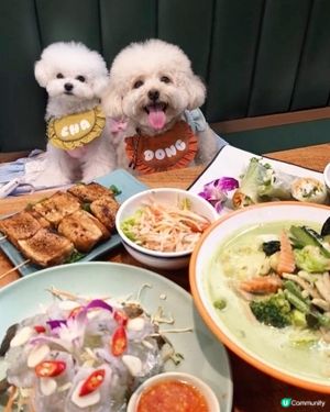 荃灣泰菜🤤 主子都可以陪食啦！🐕🌶️🦐