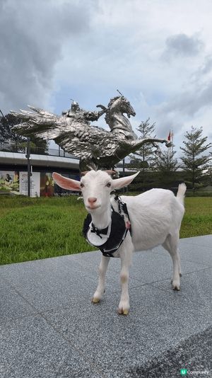 啓德美食海灣不停期，音樂會市集及嘉年華給市民吃喝玩樂，非常C