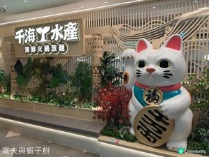 食在荃灣 | 千海水產海鮮火鍋放題 | 即撈蝦蟹鮑魚任食