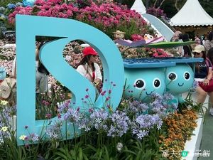 香港好去處 | 賞花 | 2026維園花展(1) | 香港特色