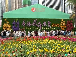 香港好去處 | 賞花 | 2026維園花展(4) | 鬱金香