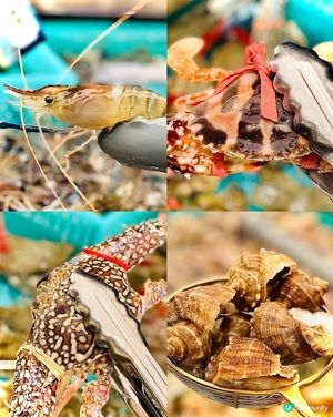 🔥超扺🔥人均三百零就可以輕鬆實現海鮮自由 👍🏻