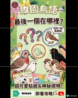 ​【維園市集攻略】隱藏版印仔竟然匿埋喺呢個位？#香港好去處