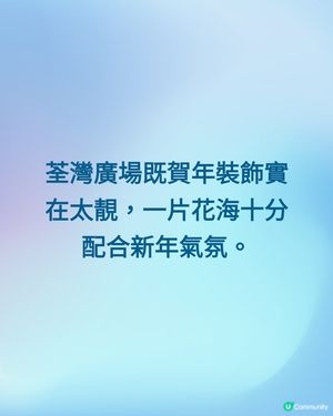 荃灣荃灣廣場既賀年裝飾實在太靚，一片花海十分配合新年氣氛。