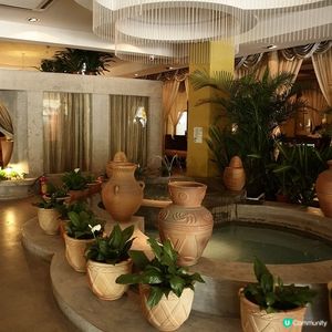 椰子雞煲仔飯🤤！潤園四季正呀！🌴🐔