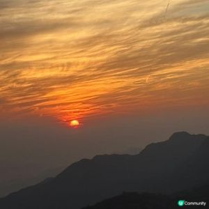 芒草無晒～得番個咸蛋黃🌞