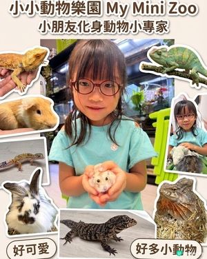 暑期親子活動 | 尋找現代小恐龍🦕✨