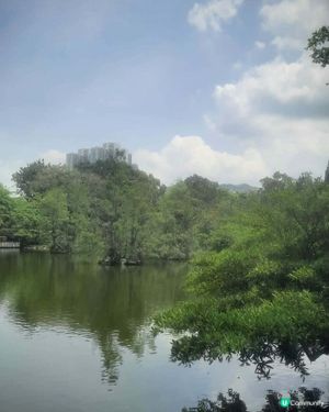 北區公園 秘境尋幽 🌳 💧 🌸