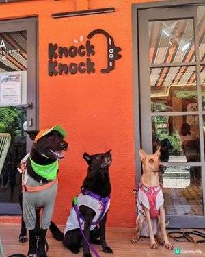 馬灣Pet-Friendly 餐廳大發現 🐶😋