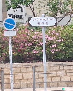 大埔安祥路