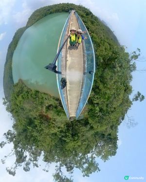 【金山郊野公園行山篇】連走四水塘➕金山及山火瞭望台