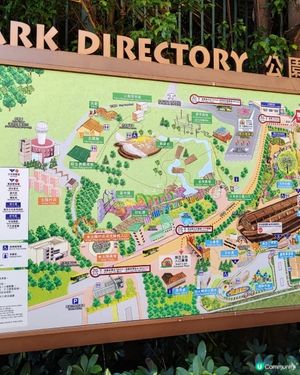 Have More Fun🥳🥳🥳