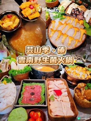 深圳必吃🍄芸山季野生菌火鍋大滿足！
