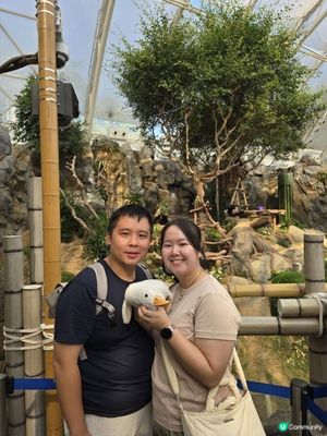 【香港人生日優惠】海洋公園生日免費入場🎂｜無處不熊貓｜大熊