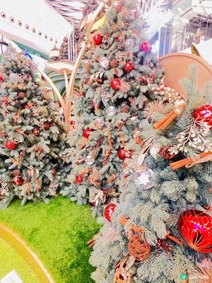 元朗『森』願星光庭園