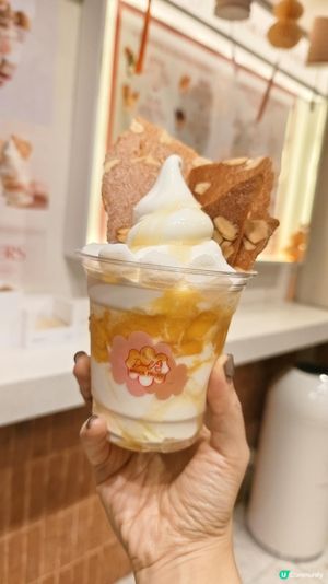 【深夜甜品控必mark の 中環Drool Froyo】