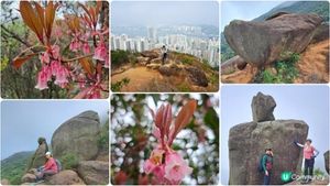 《大潭道至西灣河行山篇》野豬徑、柏架山、將軍石/僧侶石/元寶石➕️吊鐘花