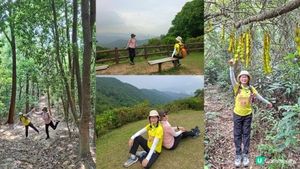 【荃錦公路至深井行山篇】麥理浩徑9段，八鄉山火瞭望台/鱷魚朝天🐊禾雀花果實