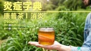 #LadyGaga #Madonna 力推必飲🥤康普茶