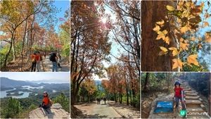 【大欖隧道轉車站至掃管笏郊遊悠】🍁🍁大棠楓香林🍁🍁千