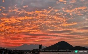 Tiramisu & 抹茶雙球鷄蛋仔｜NOOK. Eggwaffles & Gelato（西環）