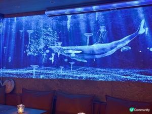 高質必食櫻花雪景Omakase