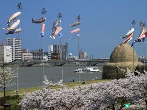 🎏 鯉魚節快樂！ 👦🏻👧🏻