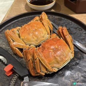 🌸經典重現😊復刻體驗👍🏻推介香濃嘅養生菇菌燉雞鍋