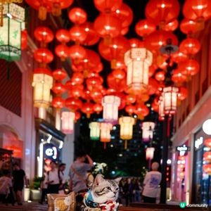 利東街八百盞宮燈同紅燈籠
維園世界綵燈大街三千盞燈


中秋