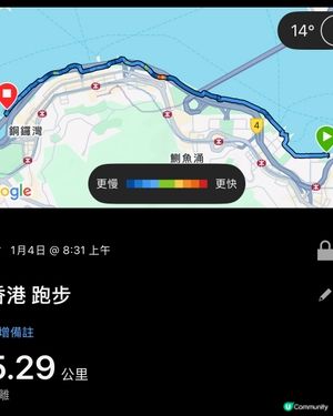東岸板道開放埋呢段，你去咗未？🤭