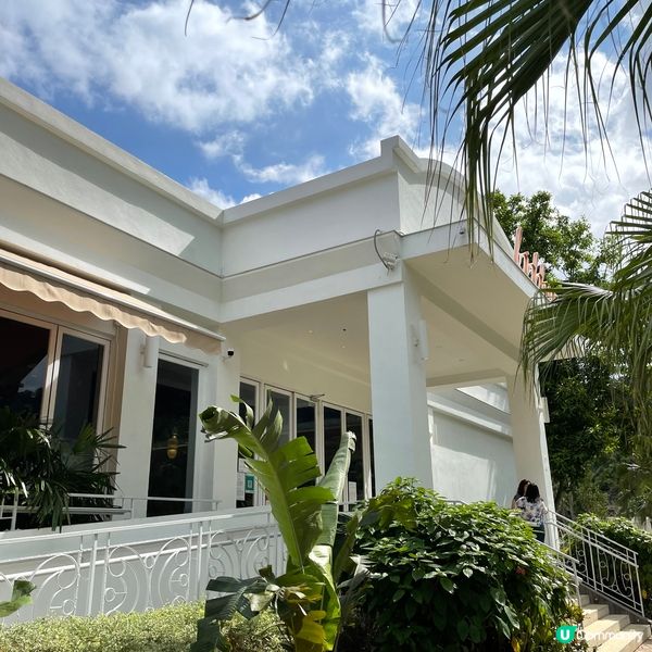 食開嘅Tiramisu都係一杯杯，又或者有器皿整到成形，不過...