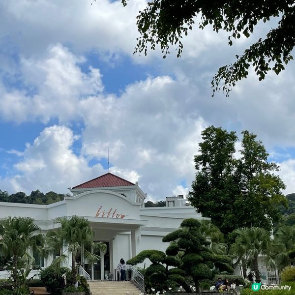 食開嘅Tiramisu都係一杯杯，又或者有器皿整到成形，不過...