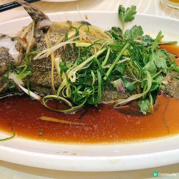 西貢海鮮～芝士龍蝦伊麵🤤