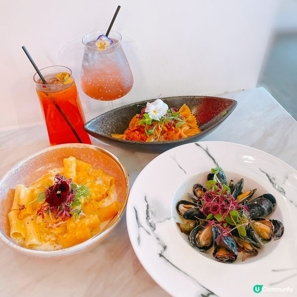 【🌸花海打卡熱點📸】