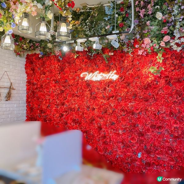 【🌸花海打卡熱點📸】