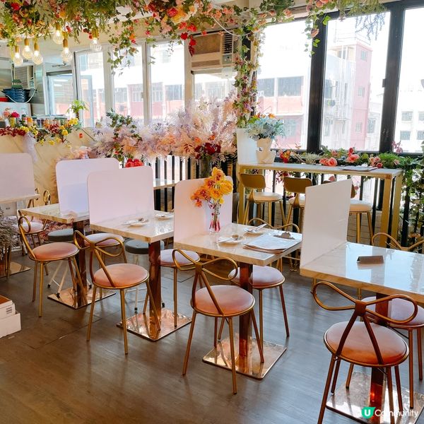 【🌸花海打卡熱點📸】