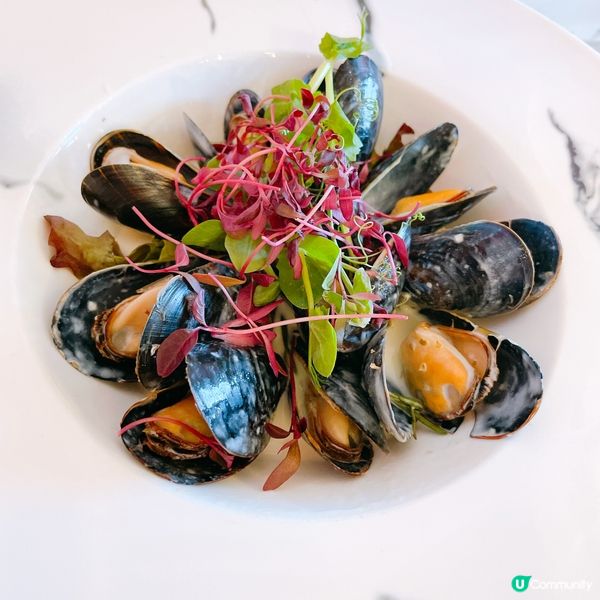 【🌸花海打卡熱點📸】