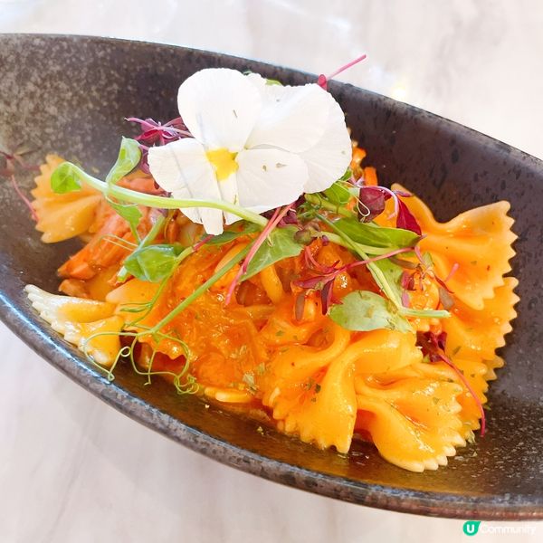 【🌸花海打卡熱點📸】