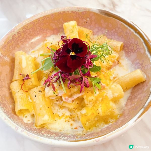 【🌸花海打卡熱點📸】