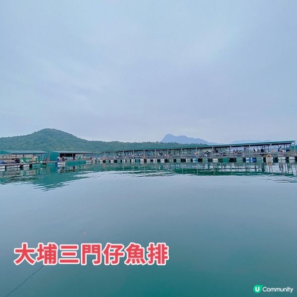 一手釣魚🐟一手食海鮮🦑