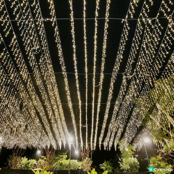 金鷺湖 Le Vow 位於大埔白鷺湖互動中心地下， 經過幾年...