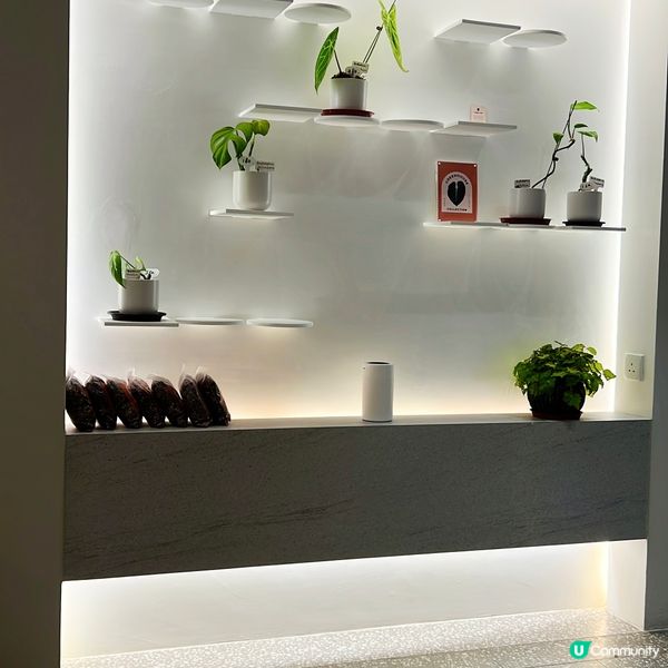 Flat White🤍客人可揀Fruity / Nutty！...