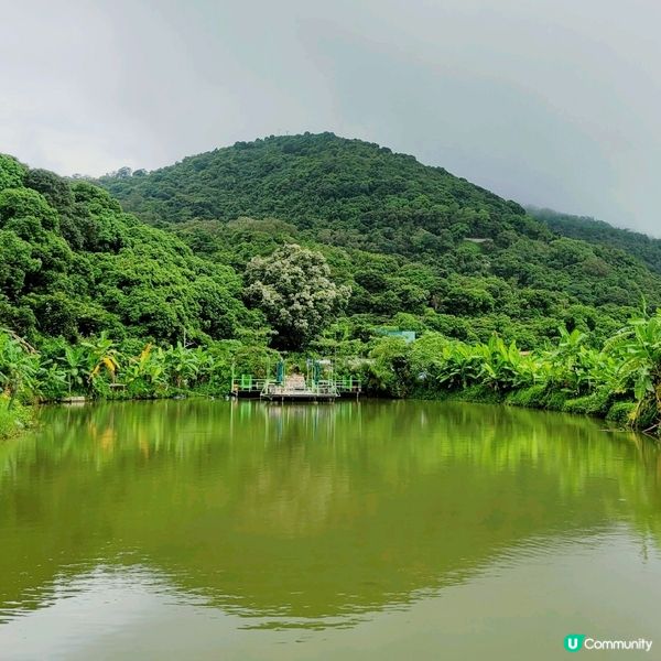 The Hideout 是一間梅窩的人氣 cafe, caf...